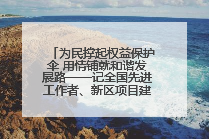 为民撑起权益保护伞 用情铺就和谐发展路——记全国先进工作者、新区项目建设中心干部卢小勇