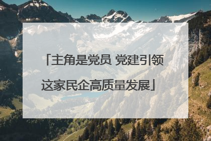 主角是党员 党建引领这家民企高质量发展
