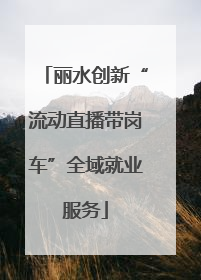 丽水创新“流动直播带岗车”全域就业服务
