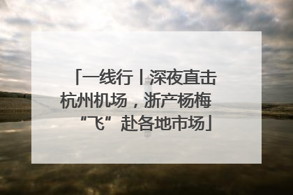 一线行丨深夜直击杭州机场，浙产杨梅“飞”赴各地市场
