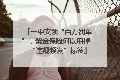 一中支领“百万罚单”，紫金保险何以甩掉“违规频发”标签