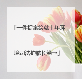 一件提案绘就十年环境司法护航长卷→
