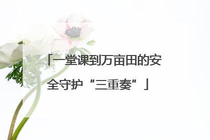 一堂课到万亩田的安全守护“三重奏”