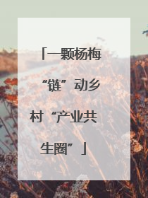 一颗杨梅“链”动乡村“产业共生圈”
