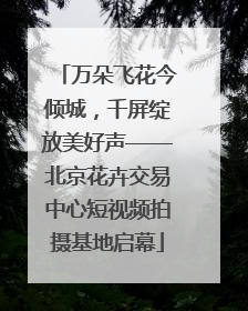 万朵飞花今倾城，千屏绽放美好声——北京花卉交易中心短视频拍摄基地启幕