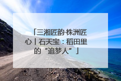 三湘匠韵·株洲匠心丨石天宝：稻田里的“追梦人”