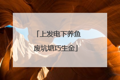 上发电下养鱼 废坑塘巧生金