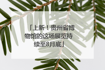 上新！贵州省博物馆的这场展览持续至8月底