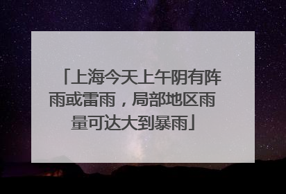 上海今天上午阴有阵雨或雷雨，局部地区雨量可达大到暴雨