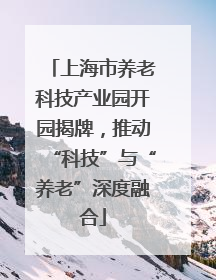上海市养老科技产业园开园揭牌，推动“科技”与“养老”深度融合