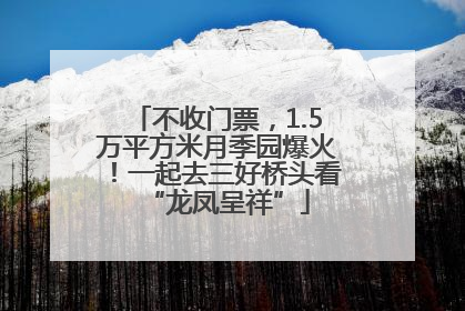 不收门票，1.5万平方米月季园爆火！一起去三好桥头看“龙凤呈祥”