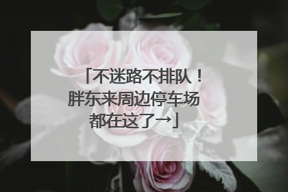 不迷路不排队！胖东来周边停车场都在这了→