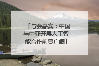 与会嘉宾：中国与中亚开展人工智能合作前景广阔