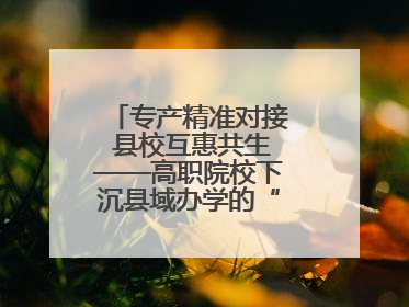 专产精准对接 县校互惠共生——高职院校下沉县域办学的“浙工商”经验