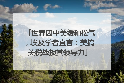 世界因中美缓和松气，埃及学者直言：美搞关税战损其领导力