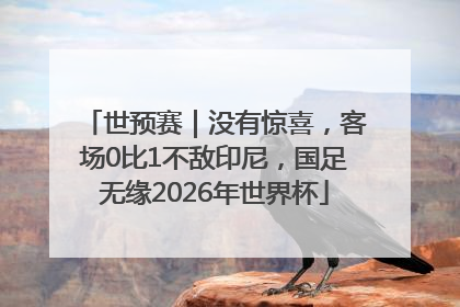 世预赛｜没有惊喜，客场0比1不敌印尼，国足无缘2026年世界杯