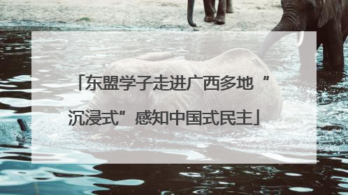 东盟学子走进广西多地“沉浸式”感知中国式民主