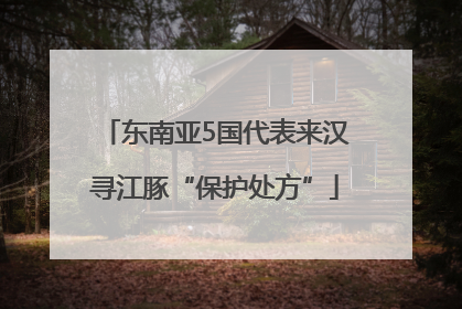 东南亚5国代表来汉寻江豚“保护处方”