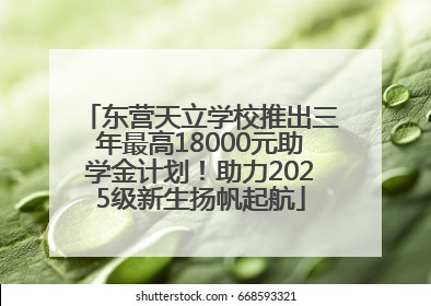 东营天立学校推出三年最高18000元助学金计划！助力2025级新生扬帆起航