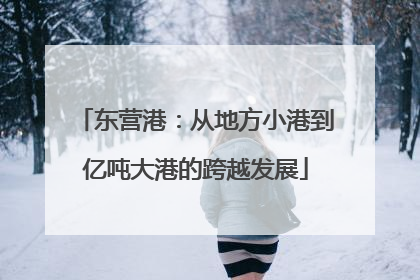 东营港：从地方小港到亿吨大港的跨越发展