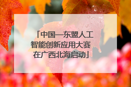中国—东盟人工智能创新应用大赛在广西北海启动