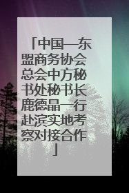 中国—东盟商务协会总会中方秘书处秘书长鹿德晶一行赴滨实地考察对接合作