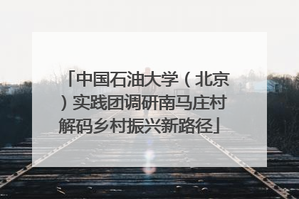 中国石油大学（北京）实践团调研南马庄村解码乡村振兴新路径