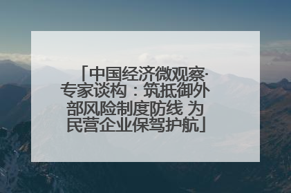中国经济微观察·专家谈构：筑抵御外部风险制度防线 为民营企业保驾护航