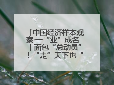 中国经济样本观察·一“业”成名丨面包“总动员”！“走”天下也“香”家乡
