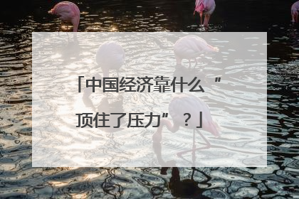 中国经济靠什么“顶住了压力”？