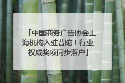 中国商务广告协会上海机构入驻普陀！行业权威奖项同步落户