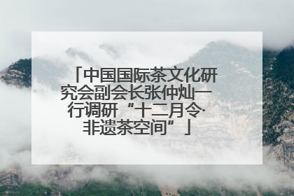 中国国际茶文化研究会副会长张仲灿一行调研“十二月令·非遗茶空间”