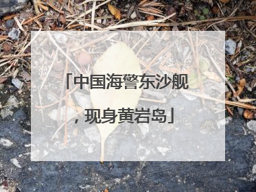 中国海警东沙舰，现身黄岩岛