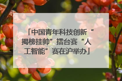 中国青年科技创新“揭榜挂帅”擂台赛“人工智能”赛在沪举办