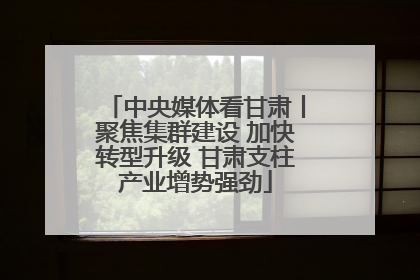 中央媒体看甘肃丨聚焦集群建设 加快转型升级 甘肃支柱产业增势强劲