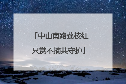 中山南路荔枝红 只赏不摘共守护