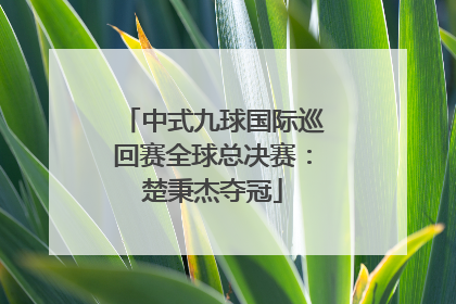 中式九球国际巡回赛全球总决赛：楚秉杰夺冠