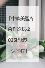 中欧美智库合作论坛·2025巴黎对话举行