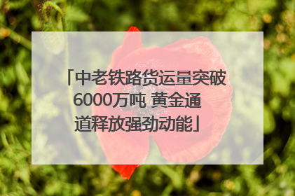 中老铁路货运量突破6000万吨 黄金通道释放强劲动能
