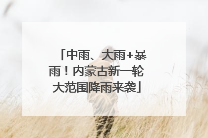中雨、大雨+暴雨！内蒙古新一轮大范围降雨来袭