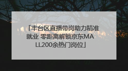 丰台区直播带岗助力精准就业 零距离解锁京东MALL200余热门岗位