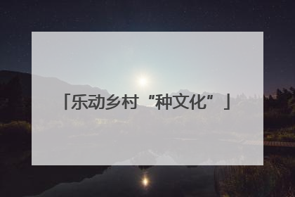 乐动乡村“种文化”