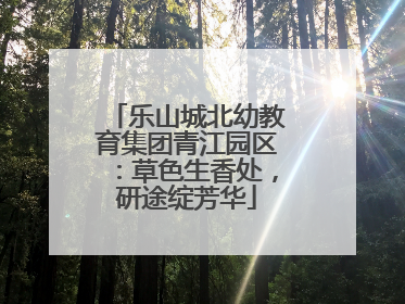 乐山城北幼教育集团青江园区：草色生香处，研途绽芳华