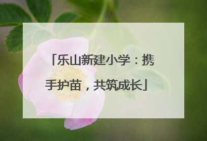 乐山新建小学：携手护苗，共筑成长
