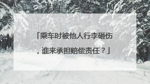 乘车时被他人行李砸伤，谁来承担赔偿责任？