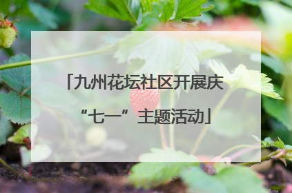 九州花坛社区开展庆“七一”主题活动