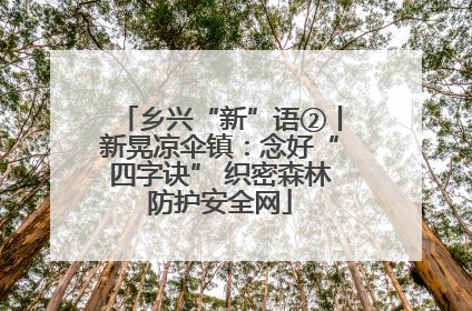 乡兴“新”语②丨新晃凉伞镇：念好“四字诀” 织密森林防护安全网