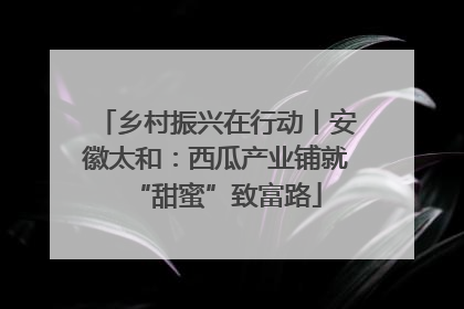 乡村振兴在行动丨安徽太和：西瓜产业铺就“甜蜜”致富路