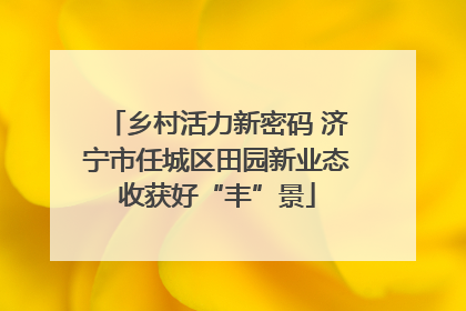 乡村活力新密码 济宁市任城区田园新业态收获好“丰”景