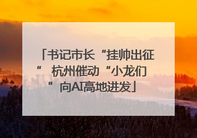 书记市长“挂帅出征” 杭州催动“小龙们”向AI高地进发